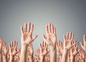 專業(yè)培訓(xùn)